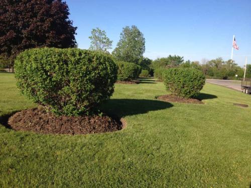 E.F.P. Express Landscaping